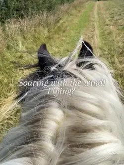 Weeeee