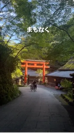 Kyoto Japan Boa