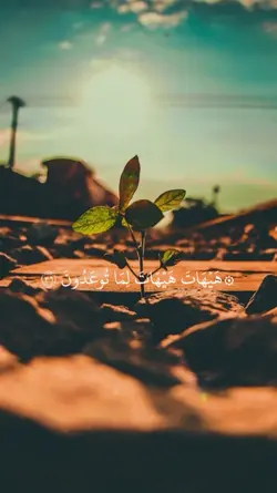هيهات هيهات 
