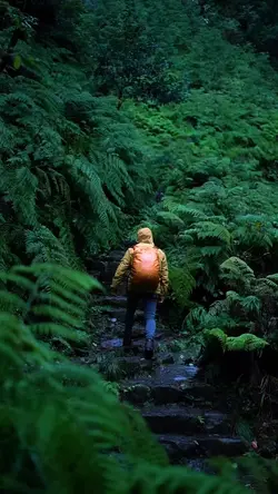 travel cinematic