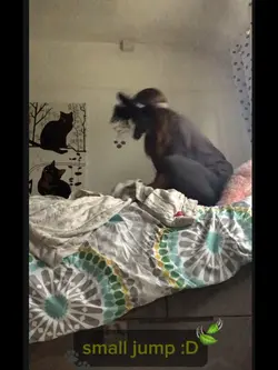 small jump