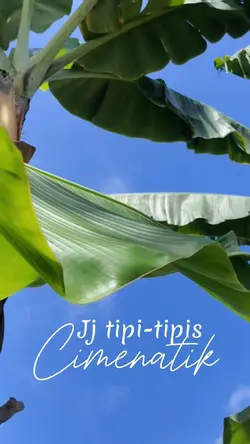 Jj 5vidio/foto
