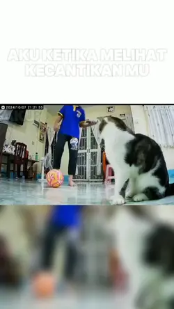 Versi mirror