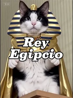 Filtro Gato egipcio
