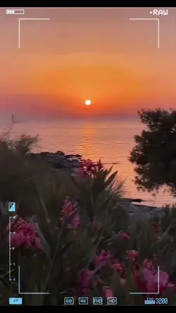 Lovely