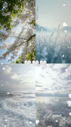 4 Beautiful Pics