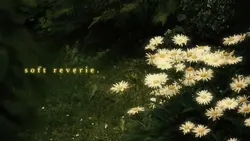 6Clips_Dreamy