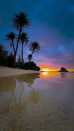 Beach Vibes