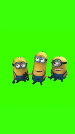 Minion papoy
