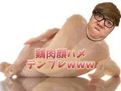 鶏肉顔ハメテンプレwww