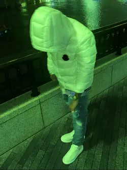fly 