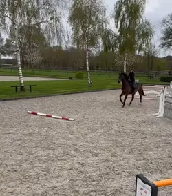 Slow mo 
