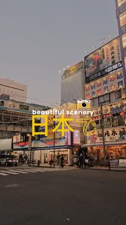 日本の美しさ