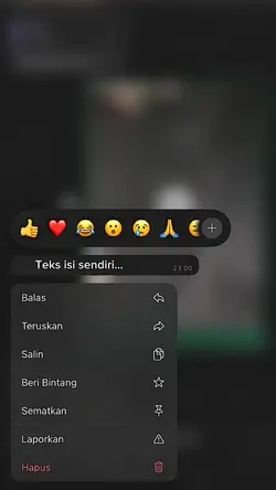 teks bisa diganti