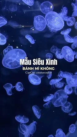 [2] Ảnh Xinh 