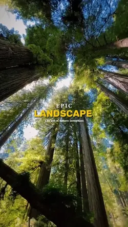 Epic landscape
