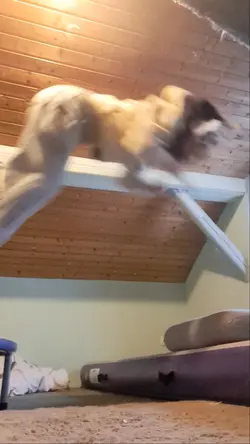 I love to fly!