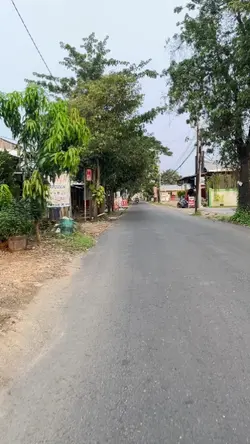 Mlaku alon