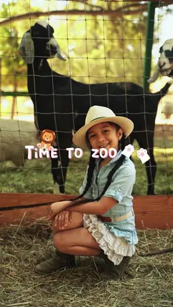 time to zoo