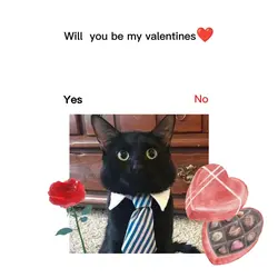 will you be my 