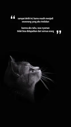 Tere Liye