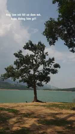 Mẫu cap 1 ảnh
