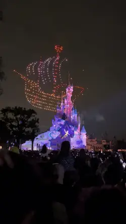 Disney dump