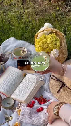 February sofar 