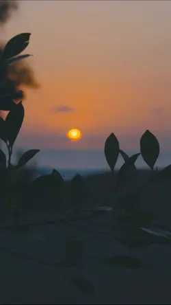 Lagu aceh