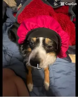 Luna!!