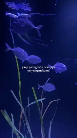apresiasi diri kamu