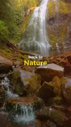 Back to Nature