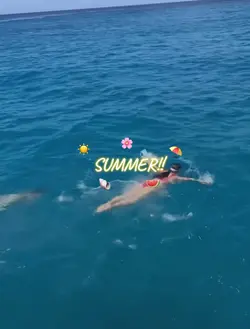SUMMER!!☀️⛱️🍉