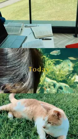 Today dump