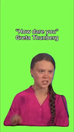 Greta Thunberg Meme