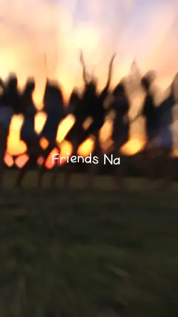 Friendship 