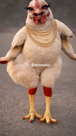 Dancing Chicken