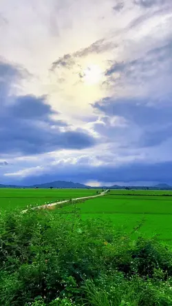 Đồng quê. 
