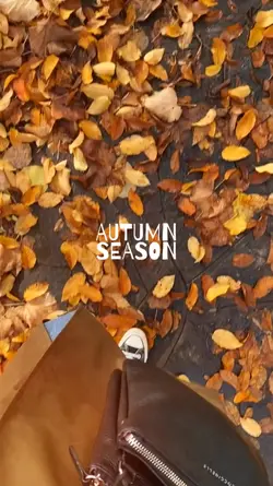 Autumn Season