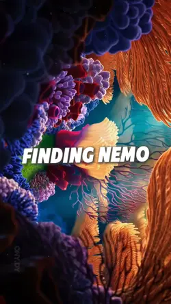 Finding Nemo edit