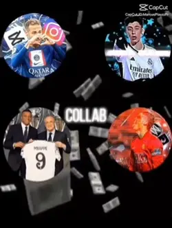 wollab