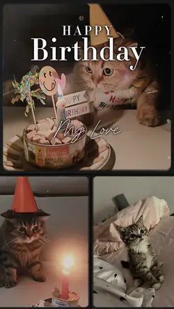 Happy Birthday🐱