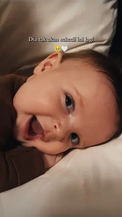 Sekecil ini lagi