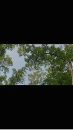 Prewedding 3 video