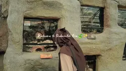 qodarulloh era