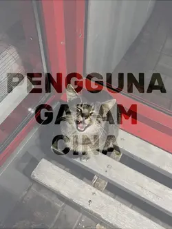 Garam cina funkot