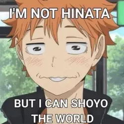 Shoyo Hinata.