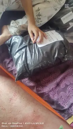 Mosquito gone wrong