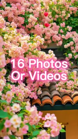 16 Photo Slides
