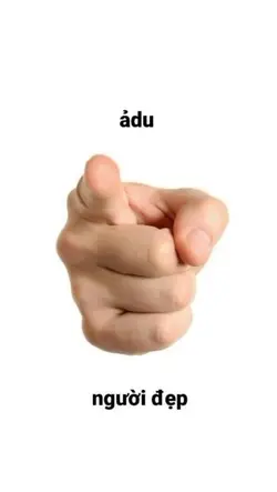 mẫu 2 ảnh
